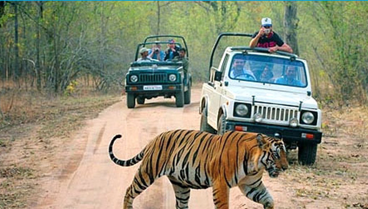 jim-corbett-national-park - Uttarakhand Packages by De Magic Moments